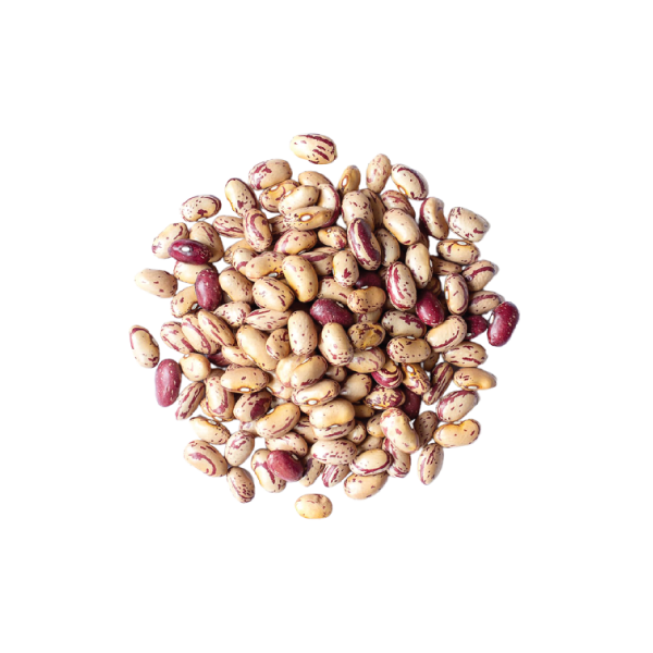 Pinto Beans - hosnaexport