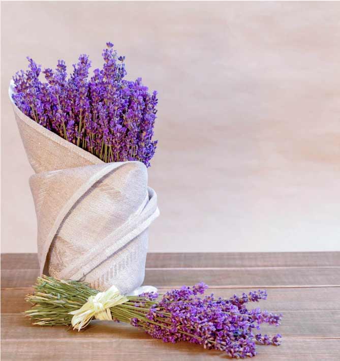 lavender