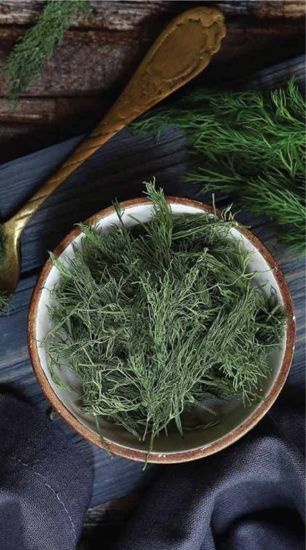 Dried Dill