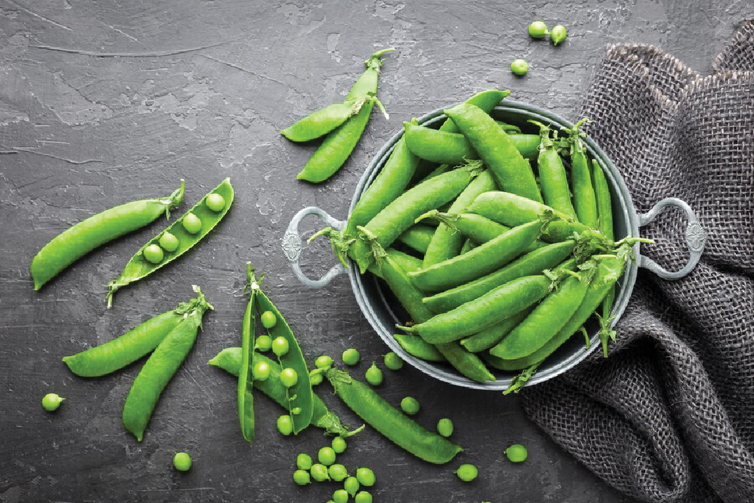 Acquaintance with peas