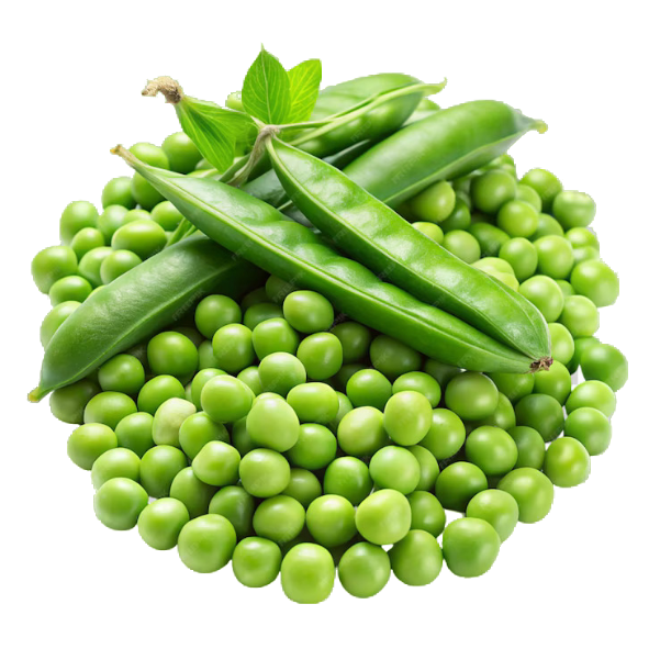 Acquaintance with peas