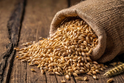 What are the types of Barley and their effect on health