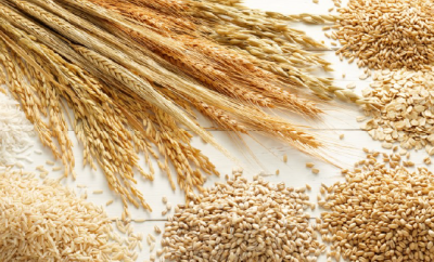 What are the types of Barley and their effect on health