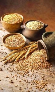 What are the types of Barley and their effect on health