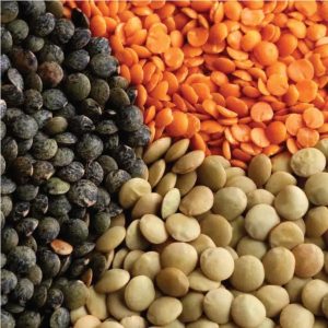 What are the properties of lentils and who is forbidden to eat them?