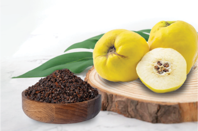 What is Quince seed? And what are its properties?