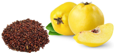 What is Quince seed? And what are its properties?