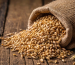 What are the types of Barley and their effect on health