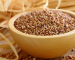 All about Buckwheat